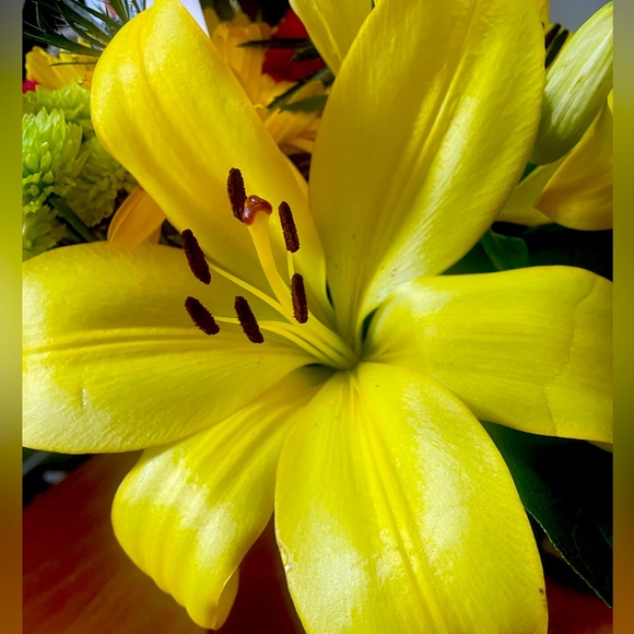 Meet your Posher, Sarah - Picture 1 of 1